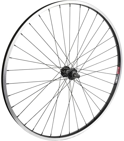 Amazon.com : WheelMaster Weinmann LP18 Rear Wheel - 700c, 36H