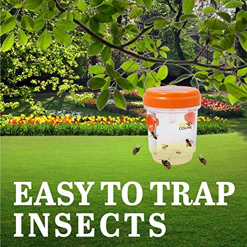 BEE COLINE Wasp Trap Wasp Killer 2 Packs Fruit Fly Trap for Wasp