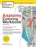 Anatomy Coloring Workbook, 4th Edition: An Easier and Better Way to Learn Anatomy by The Princeton Review, Edward Alcamo