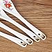 Porlien Gold Accent Floral Porcelain Spoons, Teaspoons 5