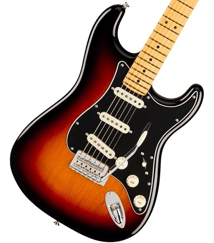 Amazon.com: Fender American Professional II Stratocaster - Roasted