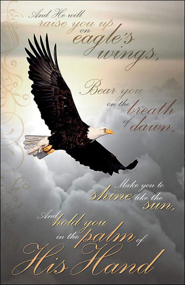 Eagle Gallery and he will raise you up on eagles wings scripture