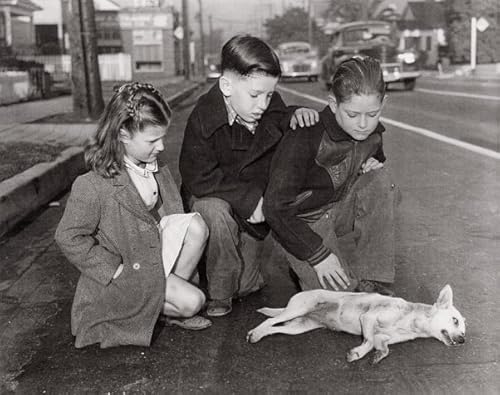 Download Local News: Tabloid Pictures from the Los Angeles Herald Express 1936 - 1961 PDF
