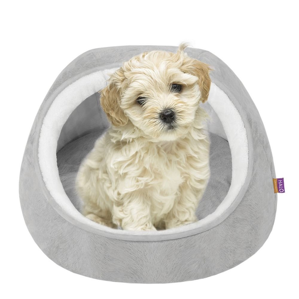 halo pet bed