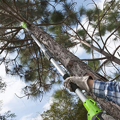 Greenworks Tools Akku-Hochentaster (Li-Ion 40V 20cm Schwertlänge 8 m/s Kettengeschwindigkeit Teleskop-Alustange 3-teilig… – Bild 4