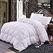 Topsleepy Luxurious Bedding Goose Down Filling Comforter, White (King Size)