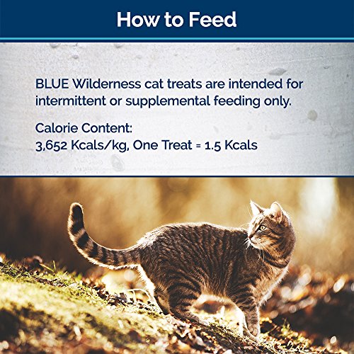 BLUE Wilderness Grain-Free Soft--Moist Chicken & Turkey Recipe Cat Treats 2-oz