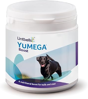 in your dog house gifts