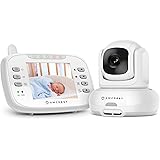 Amazon.com: Replacement for Philips Ph16w Light Bulb