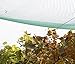 NKTM Anti Bird Netting for Garden, Reusable and Durable GardenTrellis Netting for Climbing Plants, Against Bird Deer,Squirrels 32.8Ft x 13Ft