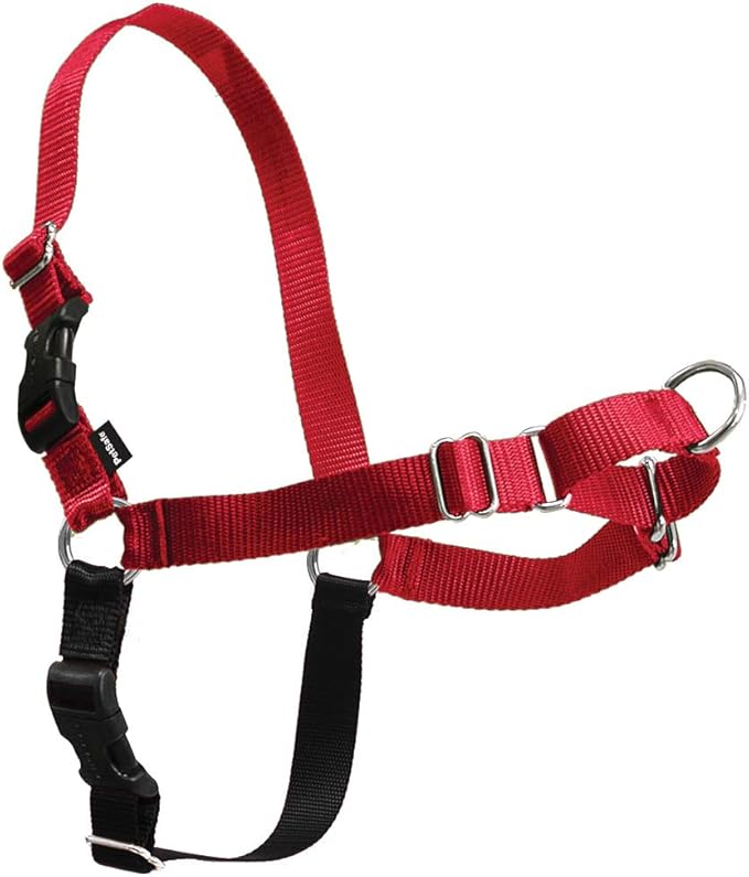 easy walk front lead harness