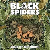 SONS OF THE NORTH                                  image