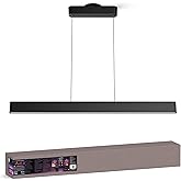 PHILIPS Hue Ensis Smart LED Pendant Light Black, Two LED Light Sources, White & Color Light, Bluetooth Compatible, Voice Control with Alexa, Apple Home & Google Assistant