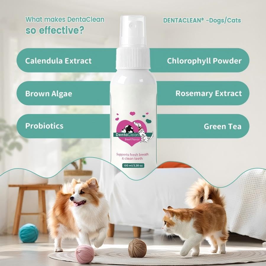 Srcasy DentaClean Spray for Dogs & Cats, No-Brush Plaque & Tartar Remover, Breath Freshener, Dentaclean for Dogs, Supports Daily Denta Hygiene, Easy Spray Use, 100ml