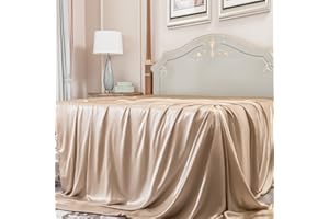 PROMEED Grade 6A Silk Queen Size Flat Sheet Only, 100% 22 Momme Mulberry Silk Cooling Top Bed Sheet, Temperature Regulating (Champagne, Queen)