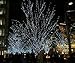 LightsEtc 39 Feet 100 LED White Solar String Lights LED Fairy Lights Party Decoration