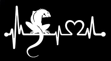 Amazon Com Reptile Iquana Love Heartbeat 6 Tropical Creature