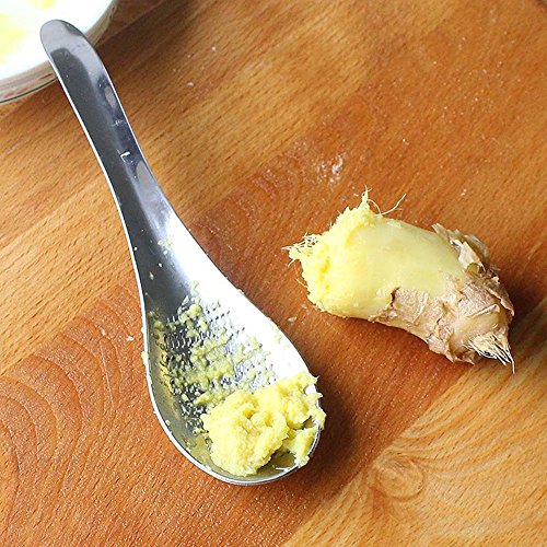 ISKYBOB Stainless Steel Garlic/Ginger Grater Grinder Zester Spoon