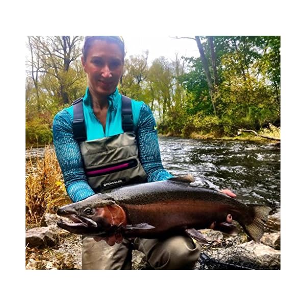 compass 360 hip waders