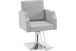 BarberPub Classic Salon Chair for Hair Stylist,Hydraulic Barber Styling Chair,Beauty Salon Spa Equipment 8818 (Grey)