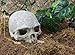 Hewnda Aquarium Decor Resin Artificial Head Skeleton Decoration – Aquarium Otaru Aquarium Decorative Cave Landscape Pet Reptile Housethumb 1