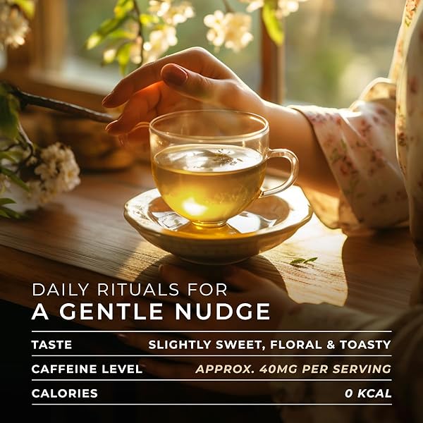 GYA TEA CO CLASSIC OOLONG POD (16 CT) – MILDLY CAFFEINE TEA WITH FLORAL & TOASTY FOR UNWINDING OR REFRESHING KICKSTART THE DAY