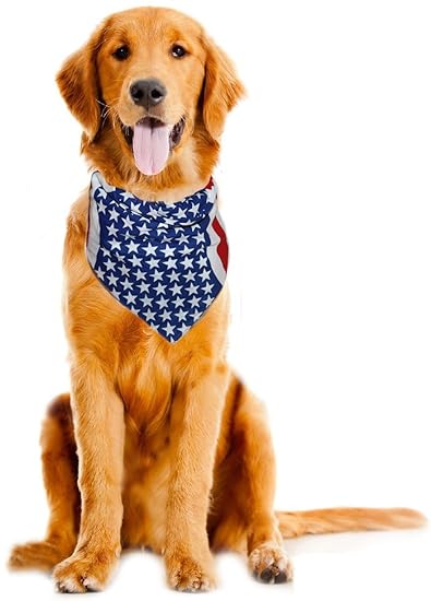 buy dogs online usa