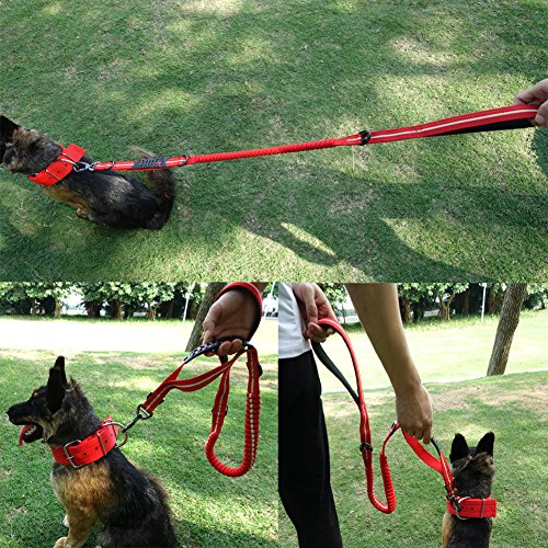MEIKAI Bungee Dog Leash Chrome Metal Lock Reflective Nylon Pet Leash with 2 Handle and 3 Multifunction D Button Great for Walking, Hiking and Training (Red)