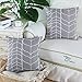 CaliTime Canvas Throw Pillow Cover Case for Couch Sofa Home Decoration Modern Chevron Stem Panels Geometric 18 X 18 Inches Medium Grey