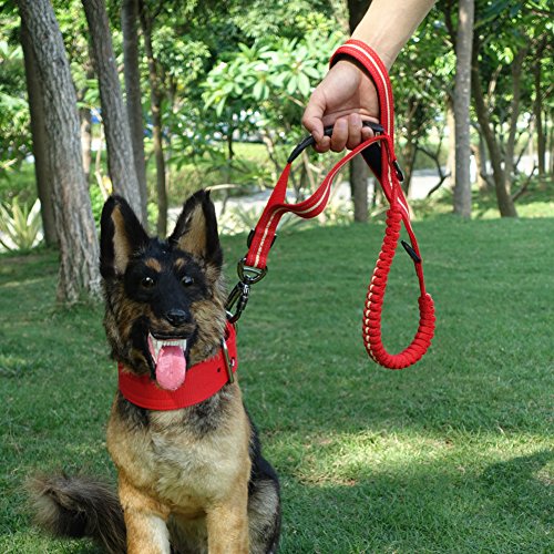 MEIKAI Bungee Dog Leash Chrome Metal Lock Reflective Nylon Pet Leash with 2 Handle and 3 Multifunction D Button Great for Walking, Hiking and Training (Red)
