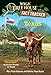 Texas: A nonfiction companion to Magic Tree House #30: Hurricane Heroes in Texas (Magic Tree House Fact Tracker)