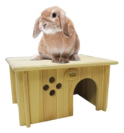 how to introduce a dog to a kitten