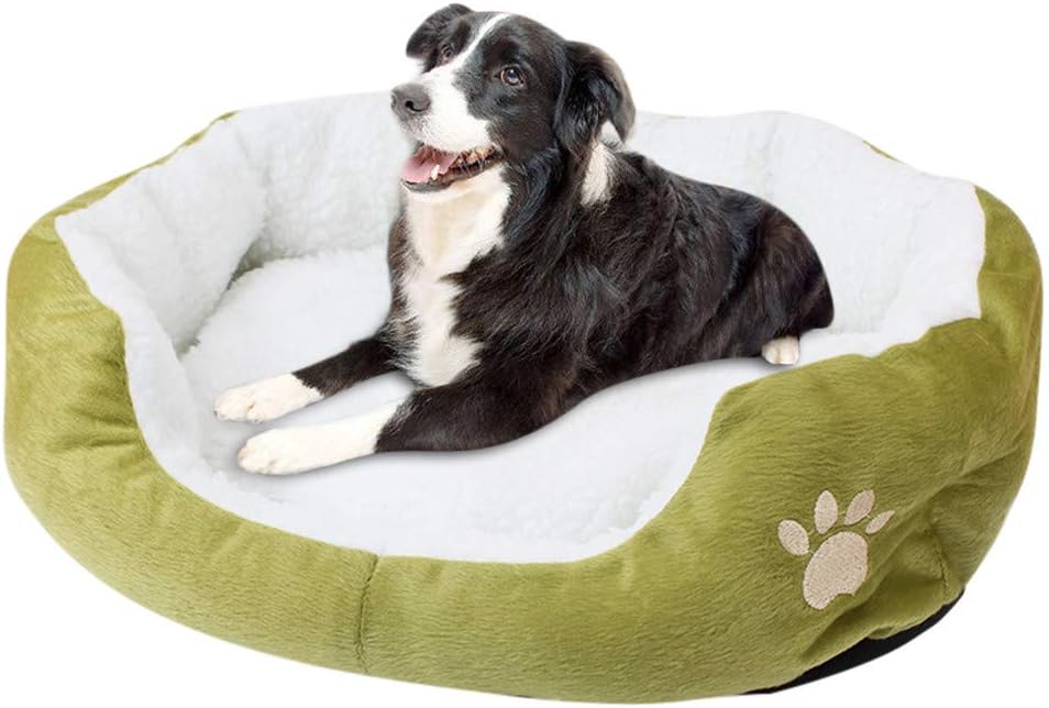Riou Comfortable Plush Pet Sofa Bed, Cat Dog Warm Cuddler Soft Puppy Cushion Improved Sleep Anti-Slip Bottom Winter Holds Heat Fleece Beds Cover Cat Sofas Dog Chairs (Green, 50cm x 40 cm)