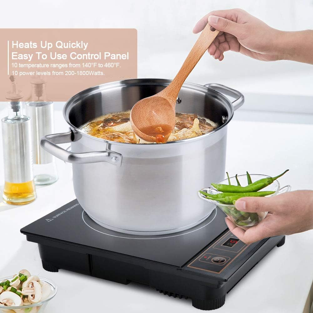 Duxtop 1800W Portable Induction Cooktop Countertop Burner, Gold 8100MC/BT-180G3: Electric Countertop Burners: Kitchen & Dining