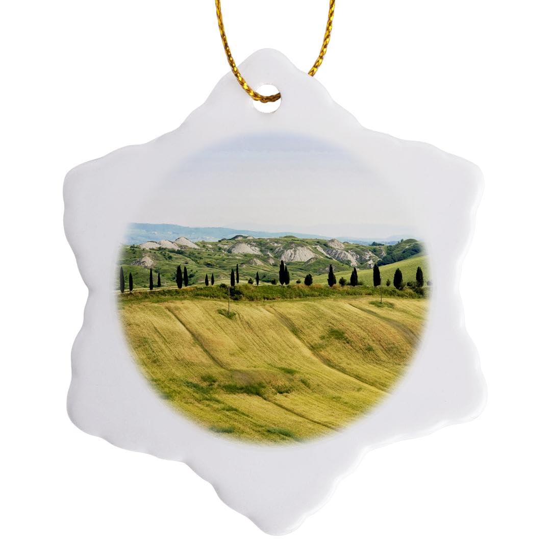 3dRose Crete Senesi, Asciano, Siena, Tuscany, Italy-Eu16 Nto0613-Nico Tondini Snowflake Ornament, Porcelain, Multi-Colour, 3-Inch