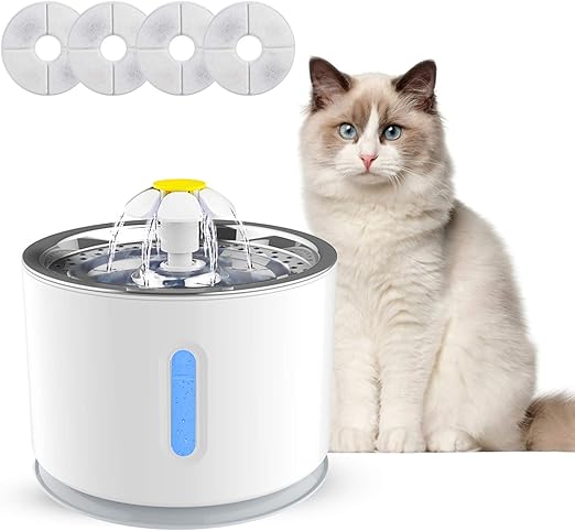 little live pets bizzy bubs