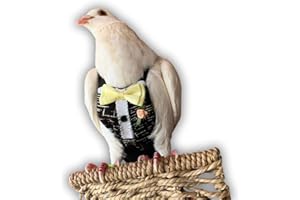 BEV'S BIRD BOUTIQUE Bev's Birds Boutique Flyper Adjustable Bird Diaper | Reusable, Washable Cloth | Comfort Fit for Parrots, Cockatiels, and Other Small Birds | Fashionable Avian Accessories - Tuxedo 16