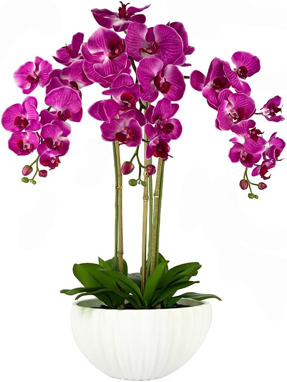 Deluxe Premium Quality Artificial Orchids in Contemporary Ceramic Pot