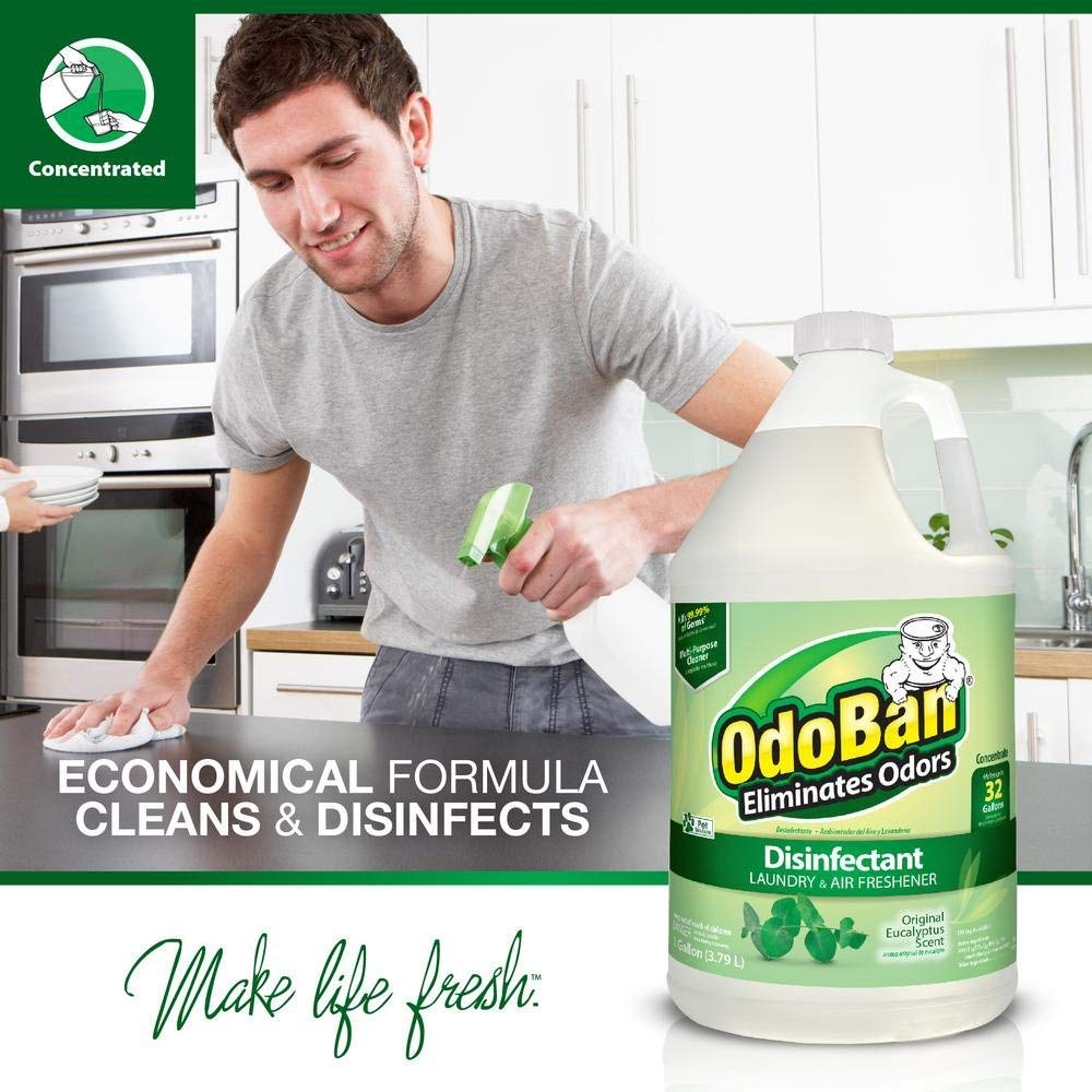 OdoBan ReadytoUse Odor Eliminator and Disinfectant, Original