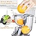 Aobosi Slow Masticating Juicer Extractor Compact Cold Press Juicer Machine with Portable Handle/Quiet Motor/Reverse Function/Juice Jug and Clean Brush for High Nutrient Fruit & Vegetable Juice (Updated -V2)