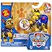 Paw Patrol, Action Pack Pup, Pup Fu Chase