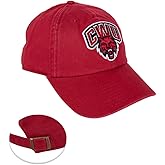Desert Cactus Central Washington University Baseball Hat Wildcats CWU Wellington Brimmed Embroidered Hats Cap Adjustable Cloth Strap Adult (Style A) Red
