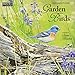 Garden Birds 2019 Calendar by 