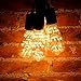 KINGSO Vintage Edison LED Bulb Bright Starry Style Romantic Fireworks Squirrel Cage Light Bulbs, 3W, 2700K, 85~265V, Warm Color, E26/E27 Medium Screw Base, ST64 Antique Shape (6 Pack)