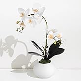OMISTAR Fake Orchids Artificial Flowers with Vase, White Real Touch Orchid Floral Centerpiece, Decorative Potted Phaleanopsis Orchid Bonsai for Home Office Table Decor