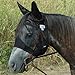 Cashel Quiet Ride Horse Fly Mask, Standard with Ears, Arabian/Small Horse