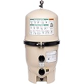 Pentair FNS Plus 48 Sq. Ft. DE Pool Filter (EC-180008)