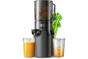 WISKEMA Masticating Juicer, safe and quiet,Slow Cold Press Juicer Machine Juicer Machines with Low Noise for Whole Vegetables and Fruits