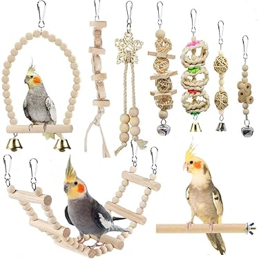 Amazon Best Sellers: Best Bird Swings