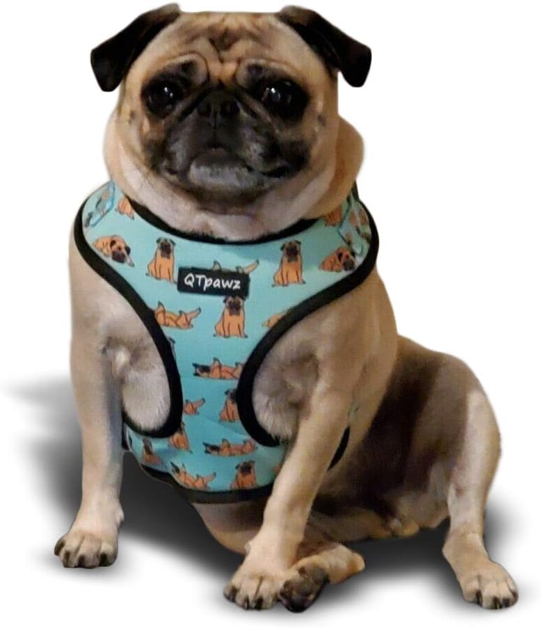 Pug Vest Harness with Matching Poop Bag Holder (Large
